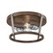Westinghouse Fixture Ceiling LED Flush-Mount 60W 2-Light Elway 13.75In Barnwood Glassvnz Stl 6126200 - alternate 8